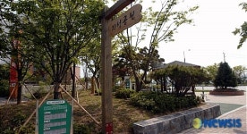 박지성과 함께하는 박지성 공원