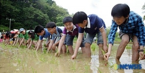 양재천 모내기 행사 열려