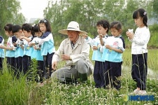 친환경 농법 모내기