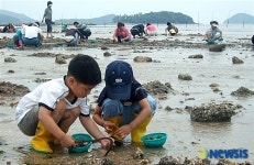 땅끝 해안에서 조개 잡으세요