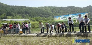 삼성전기, 토고미마을에 상생의 빛 밝혀