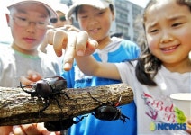 장수풍뎅이 무섭지 않아요