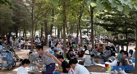 숲속 쉼터 시원해요!