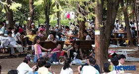 숲속 쉼터 시원해요!