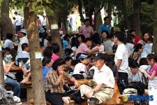 숲속 쉼터 시원해요!