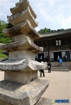 반야보전과 칠층석탑