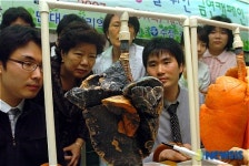 담배는 나빠요!