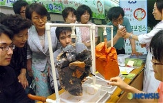 담배는 나빠요!