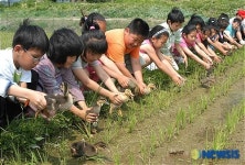 “오리농군이 일터로 나간다”