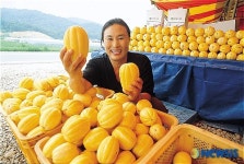 제1회 여주명품 금사참외축제 개최