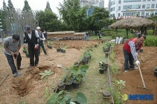 마치 텃밭같은 교통섬