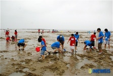 월성원전 사랑의 갯벌 체험