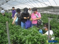 부천 소사구, 우수 농산물 재배농장 견학