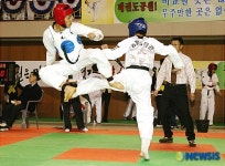 태권도 전북대표 최종 선발전
