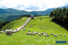 평창으로 떠나는 여름휴가