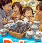 生 유기농 블루베리’ 맛보세요