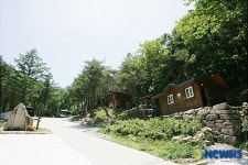 상주시 성주봉자연휴양림 휴양객 쇄도