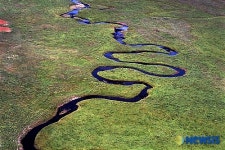 관조스님 유작사진전 몽골초원과 유목민의 삶 - 뱀의 행진