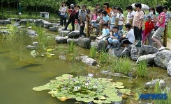 아파트 숲속에서 연못생태탐험교실을