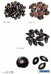 선사시대 창녕비봉리패총(昌寧飛鳳里貝塚) 사적 지정
