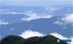 지리산 성삼재에서본 운해