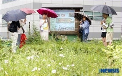 서울시청 별관 초록뜰로 놀러오세요