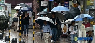 끝없는 우산 행렬