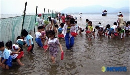 고창수산물 축제 갯벌 어망체험