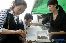 음식물 쓰레기 냄새 걱정 끝