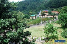 적막감 흐르는 흥덕사