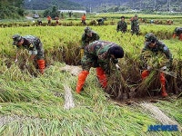 대민지원 나선 군 장병과 예비군들