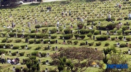 조상 묘 찾아 예 올리는 자손들