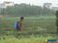 농약녹차 등 3편, 9월의 좋은 프로그램
