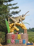 포항구룡포 성동리로 메뚜기 잡으러 오이소!