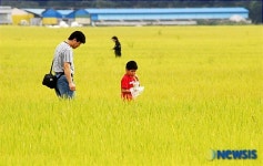 황금들녘 사이로...