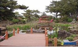 제주 온평초등학교 학교 숲 초록동산