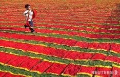 인도를 붉게 물들인 종교