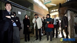 서울 경마공원 경주마방 찾은 외국인 투자자들