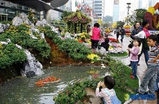 보도 위가 정취 가득한 연못이 됐어요