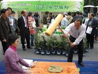 녹차로 만드는 떡만들기 체험하세요