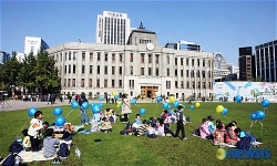 서울광장에서 먹는 어린이들의 맛난 도시락