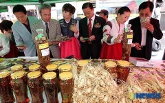 한의약거리 축제 개막