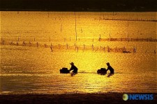 바다사랑 어촌사랑 사진공모전 - 귀로