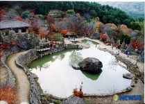 하동군 청암면에 있는 삼성궁의 가을 풍경