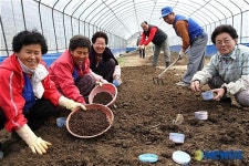 지렁이키워 용돈벌이