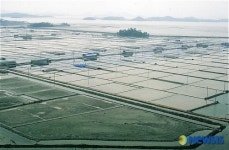 신안 천일염전·석조소금창고 문화재 등록