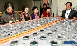 콩나물 공장으로 변신한 '웰빙경로당'