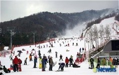 많은 스키, 스노우보더로 붐비는 휘닉스파크