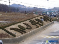 수원과 안산 경계지역 무늬화단 조성