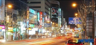 중구 중앙로 가로수에 불꽃의 열매가?